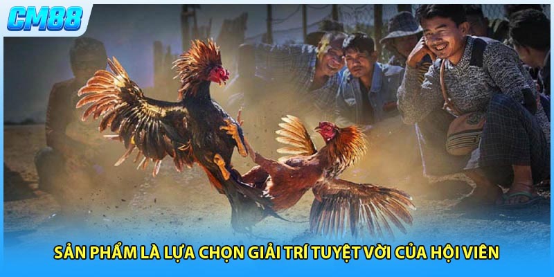 Sản phẩm là lựa chọn giải trí tuyệt vời của hội viên 